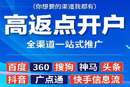 探索SEO在移动端的优化策略——成功案例分享